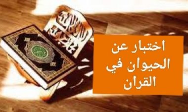 اختبار عن الحيوان في القرآن